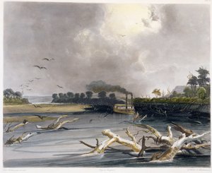 Embâcles (arbres submergés) sur le Missouri, planche 6 du volume 2 de 